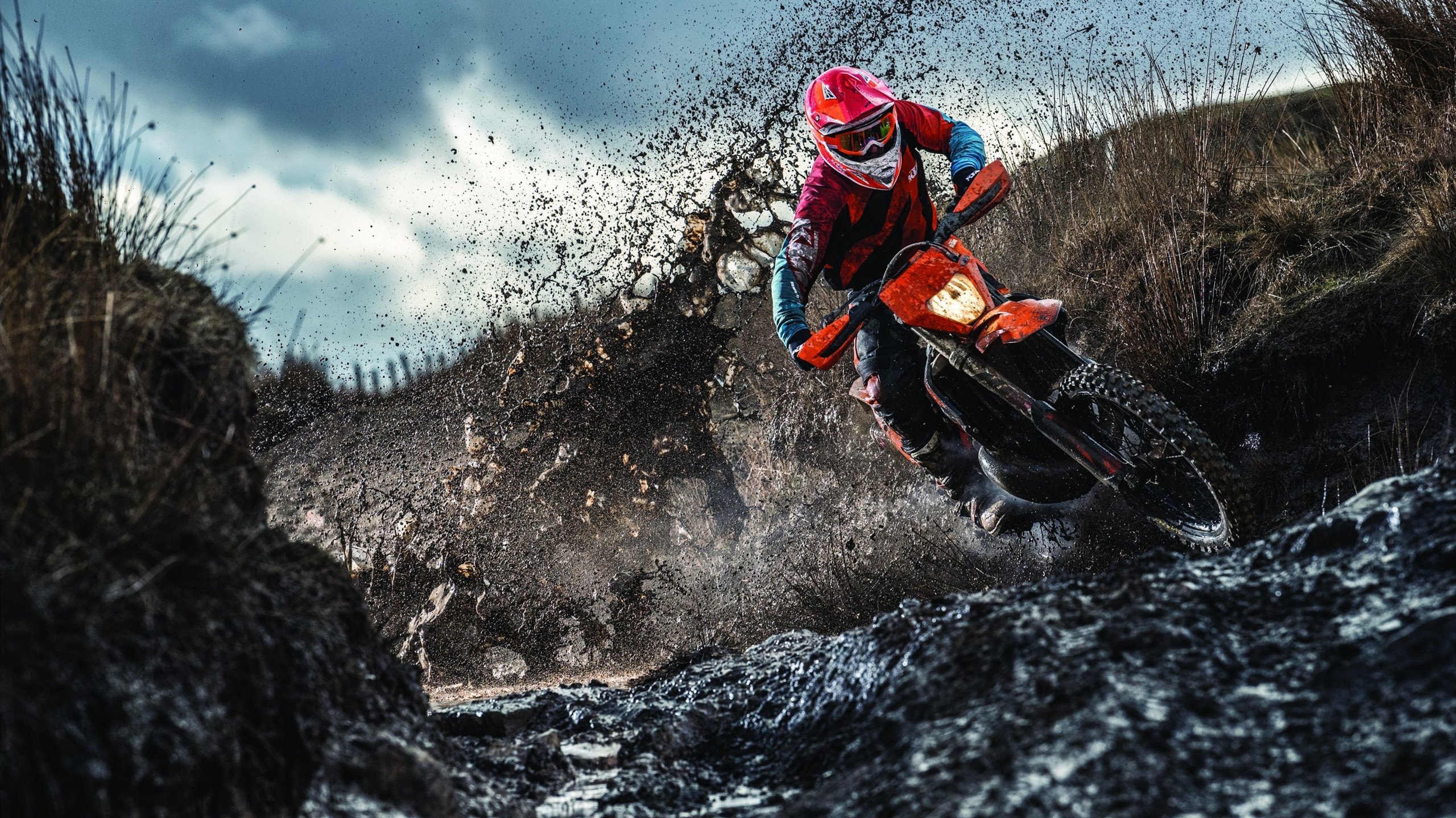 男子800自美队表现中规中矩，男子800米自由泳决赛直播